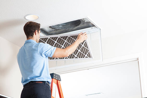 Best Air Filters and Purifiers in Level Plains, AL